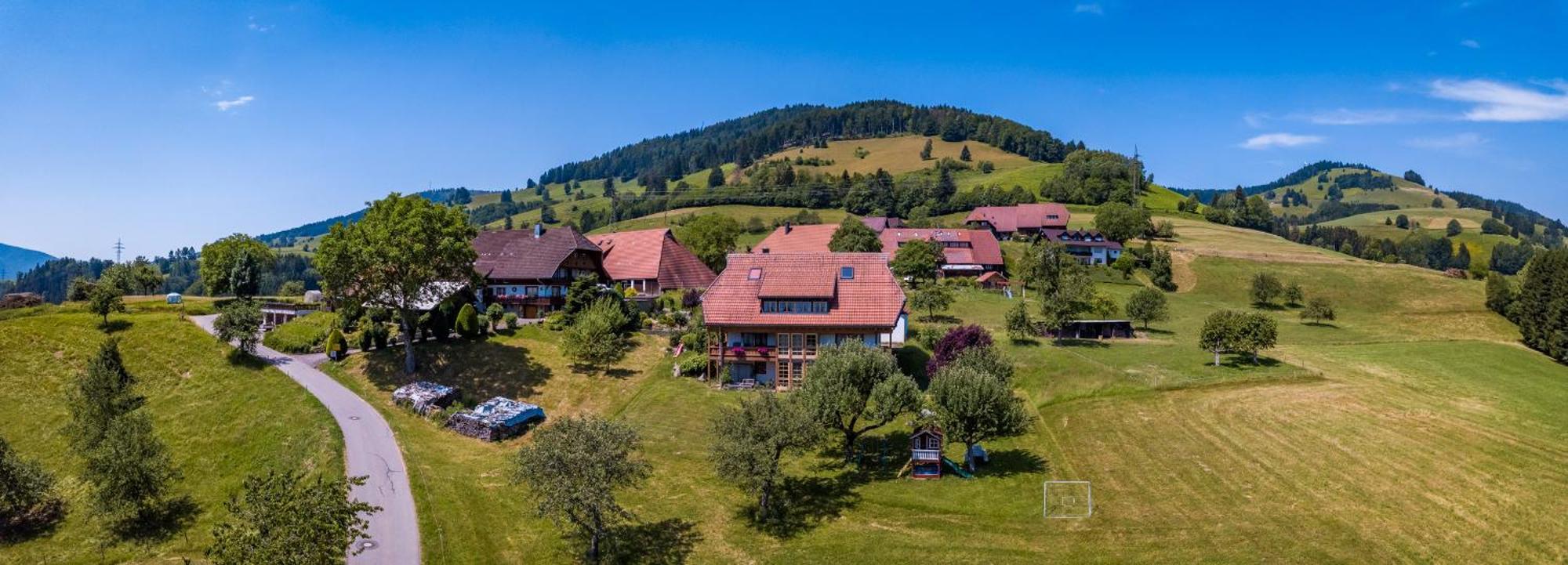 Schwarzwaldliebe Apartamento Frohnd Exterior foto